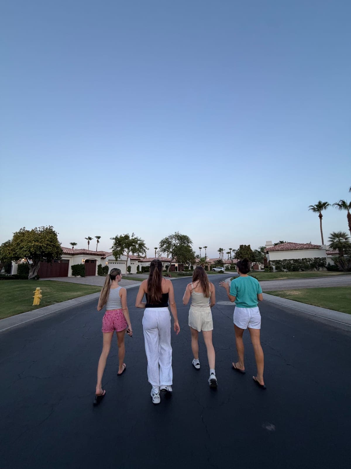 Four friends walking together at dusk