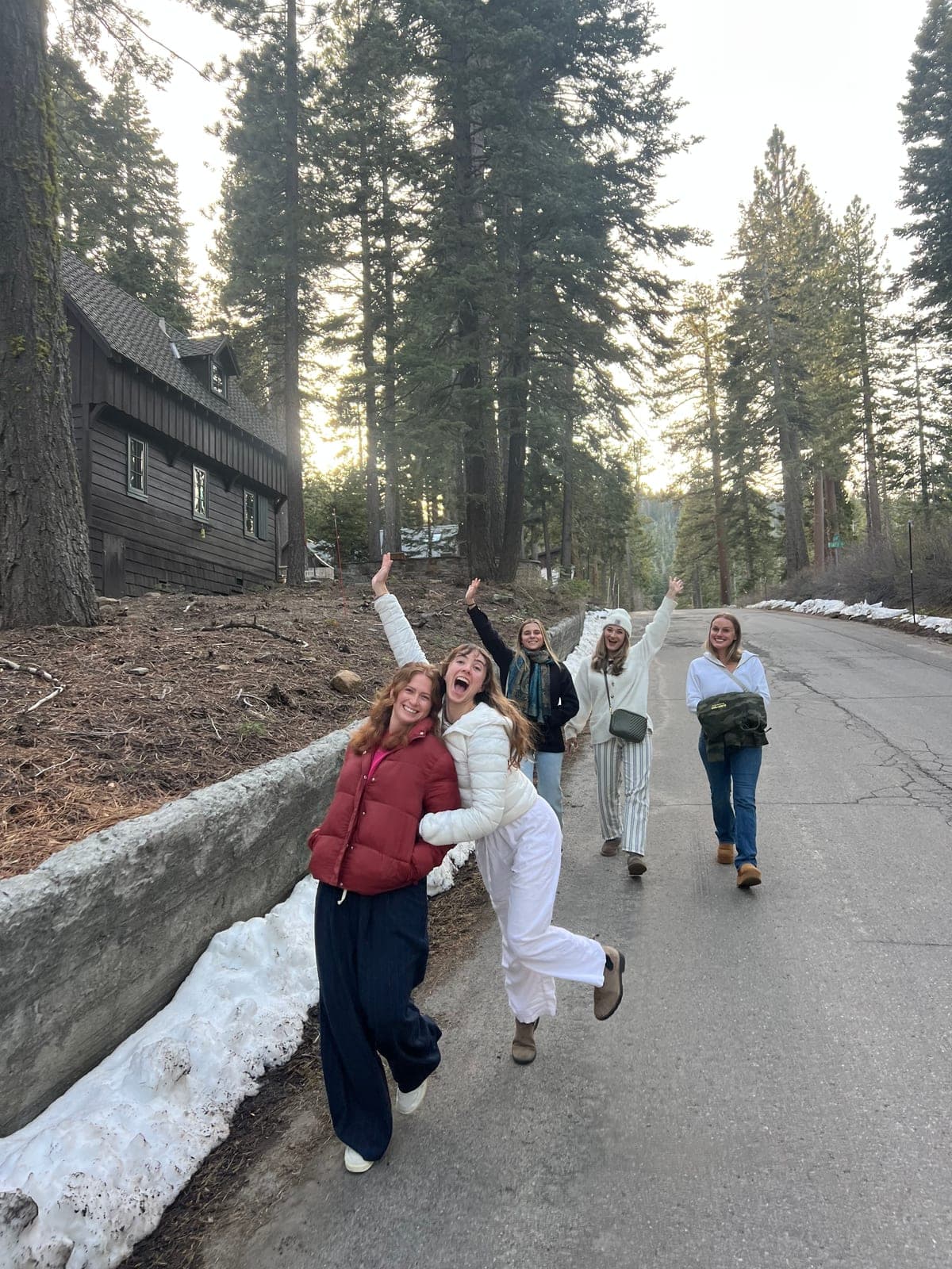 Friends cheering on a snowy road through the pines
