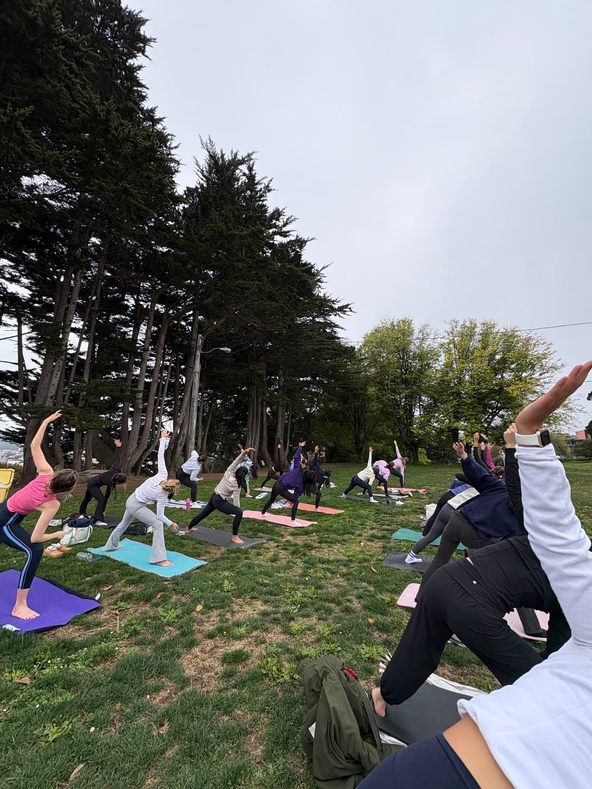 A group yoga class beneath the cypress trees